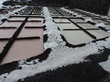 Salinas de Fuencaliente